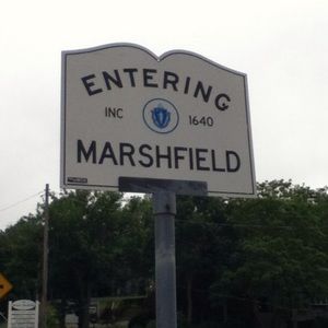 Meet your Posher, Rose